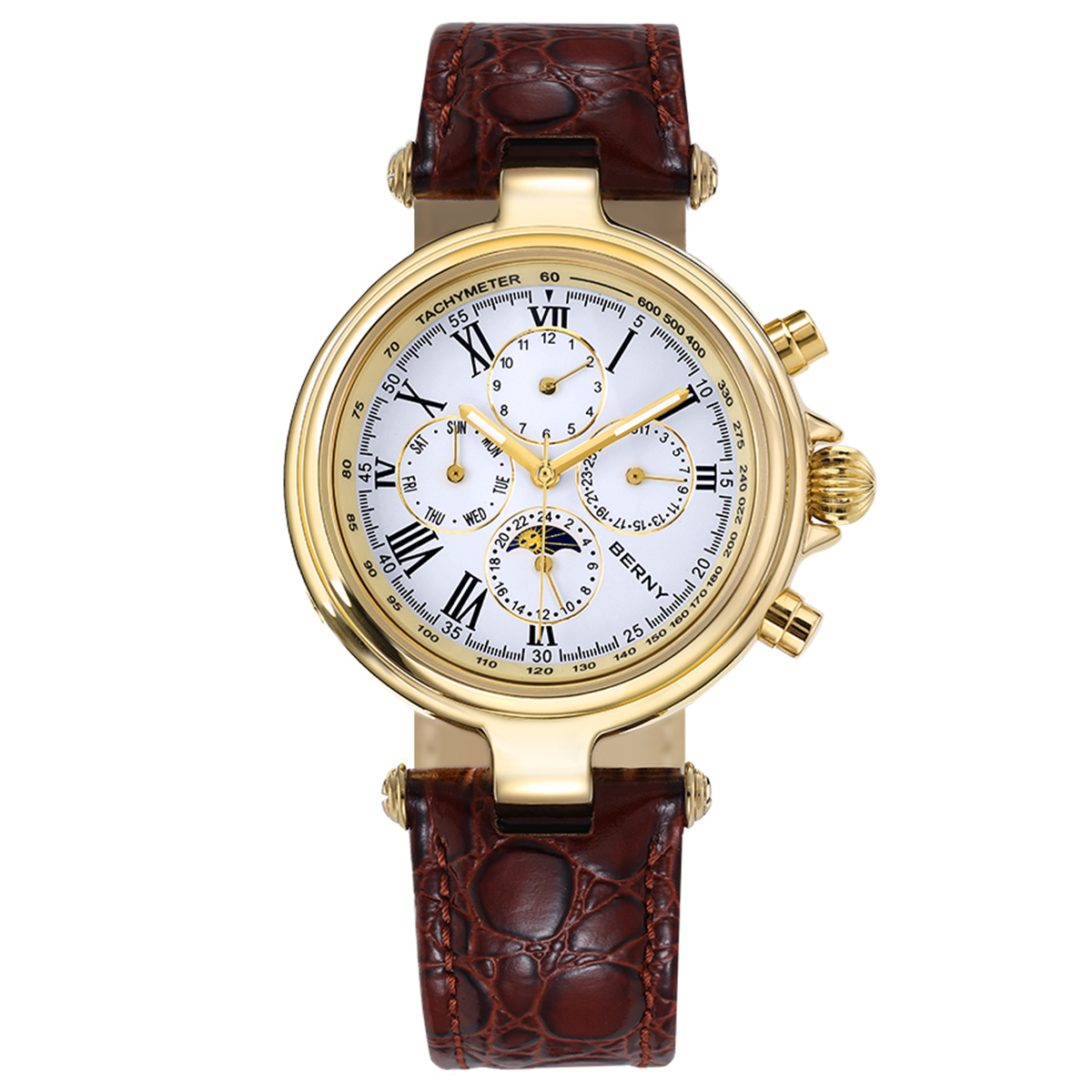 BERNY Retro Automatic Men's Wa - Seiko Watch Prospex review and price